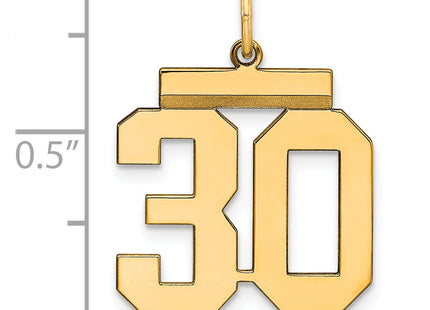 Sterling Silver Gold-plated Medium Polished Number 30 Charm