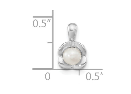Sterling Silver Pendants Style QP5596 - Classique Jewelry Inc.