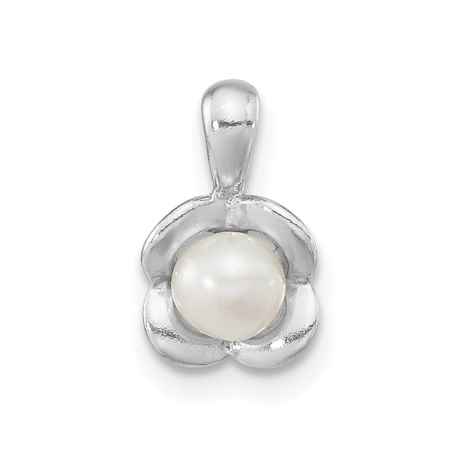 Sterling Silver Pendants Style QP5596 - Classique Jewelry Inc.