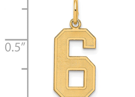 Sterling Silver/Gold-plated Satin Number 6 Charm
