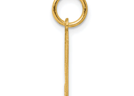 Sterling Silver/Gold-plated Satin Number 9 Charm