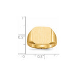 14K x14. Closed Back Mens Signet Ring view