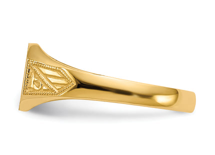 14k 8.5x7. Closed Back Signet Ring