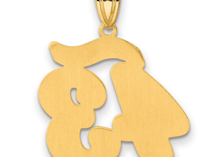 14k Yellow Gold Pendants Style SCN43 - Classique Jewelry Inc.