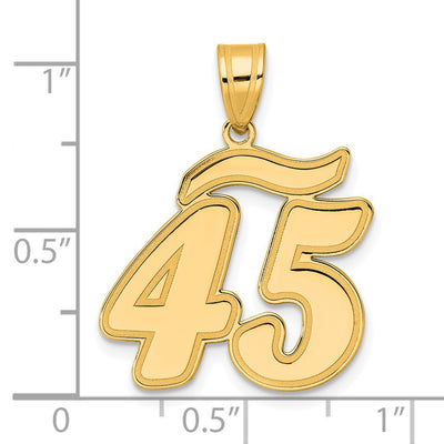 14K Brushed Border Script Number 45 Pendant