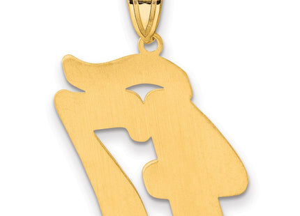 14k Yellow Gold Pendants Style SCN47 - Classique Jewelry Inc.