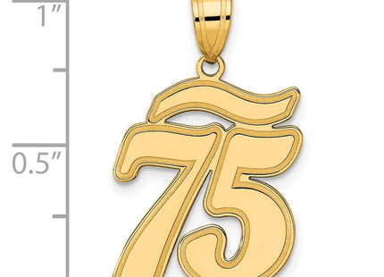 14k Yellow Gold Pendants Style SCN75 - Classique Jewelry Inc.
