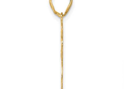 14k Yellow Gold Pendants Style SCN76 - Classique Jewelry Inc.