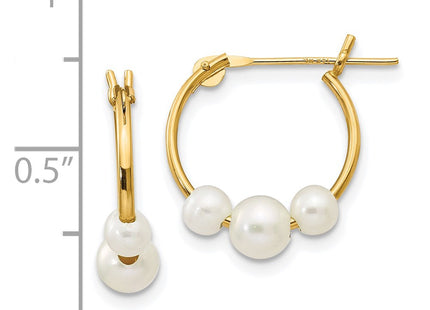 14k Yellow Gold Earrings Style SE1568 - Classique Jewelry Inc.