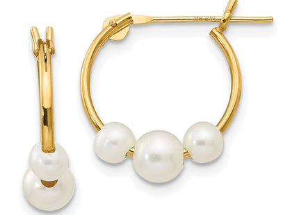 14k Yellow Gold Earrings Style SE1568 - Classique Jewelry Inc.