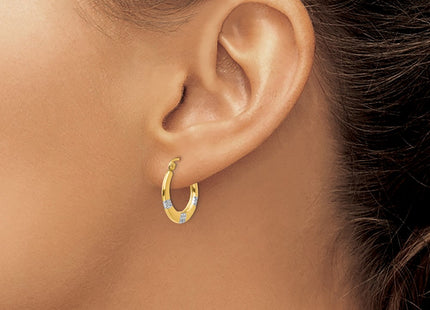 14k Yellow & Rhodium Earrings Style SE2429 - Classique Jewelry Inc.