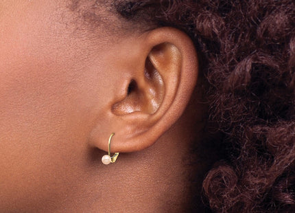 14k Yellow Gold Earrings Style SE2969 - Classique Jewelry Inc.