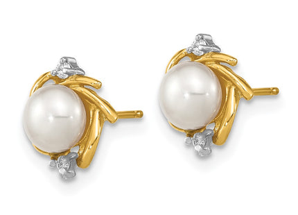 14k Yellow Gold Earrings Style SE3036 - Classique Jewelry Inc.