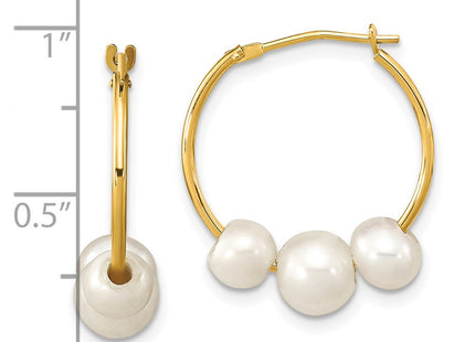 14k Yellow Gold Earrings Style SE3046 - Classique Jewelry Inc.