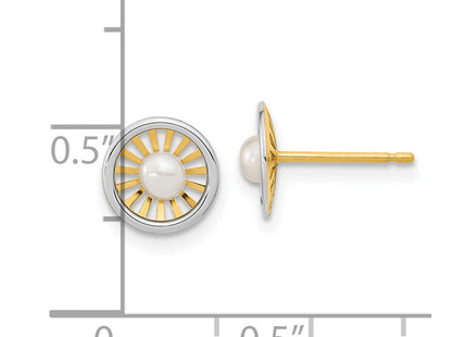 14k Two-tone Earrings Style SE3048 - Classique Jewelry Inc.