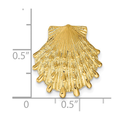 14K Lion's Paw Shell Slide, 18 x 17mm