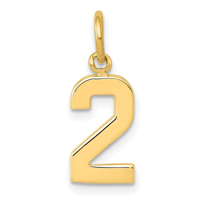 14k Small Polished Number 2 Charm, 15.08 x 7.78mm