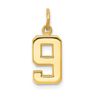 14k Small Polished Number 9 Charm (Style SP09)