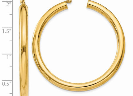 14k Yellow Gold Earrings Style T951 - Classique Jewelry Inc.