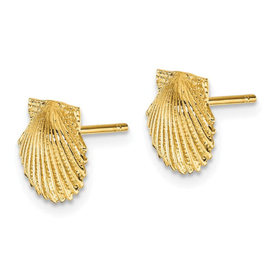 14K Scallop Shell Post Earrings, 9 x 9mm