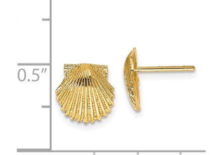 14k Scallop Shell Post Earrings (Style TC569)