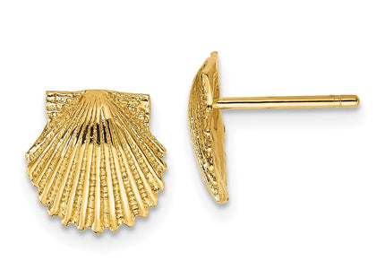 14k Scallop Shell Post Earrings (Style TC569)