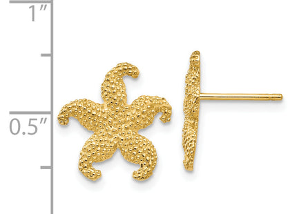 14k Starfish Post Earrings, 15 x 14mm