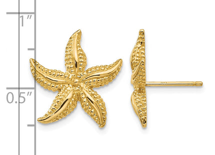 14k Starfish Post Earrings, 17 x 16mm