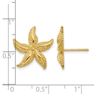14K Starfish Post Earrings, 17 x 16mm