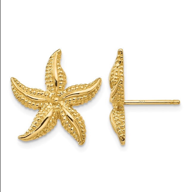 14k Starfish Post Earrings, 17 x 16mm
