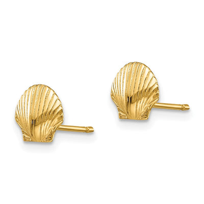 14K Sand Dollar Post Earrings, 12 x 12mm