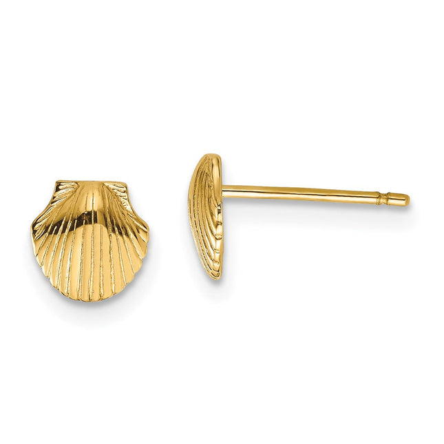 14K Sand Dollar Post Earrings, 12 x 12mm