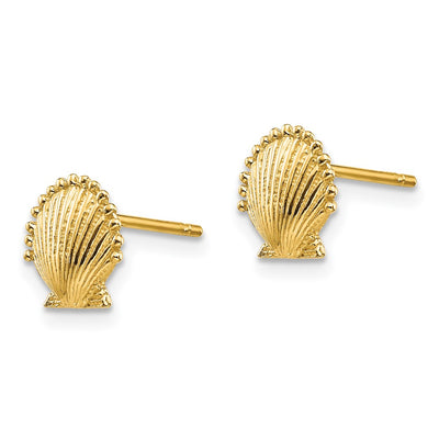 14K Scallop Shell Post Earrings, 8 x 9mm
