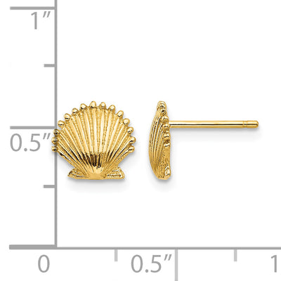 14K Scallop Shell Post Earrings, 8 x 9mm