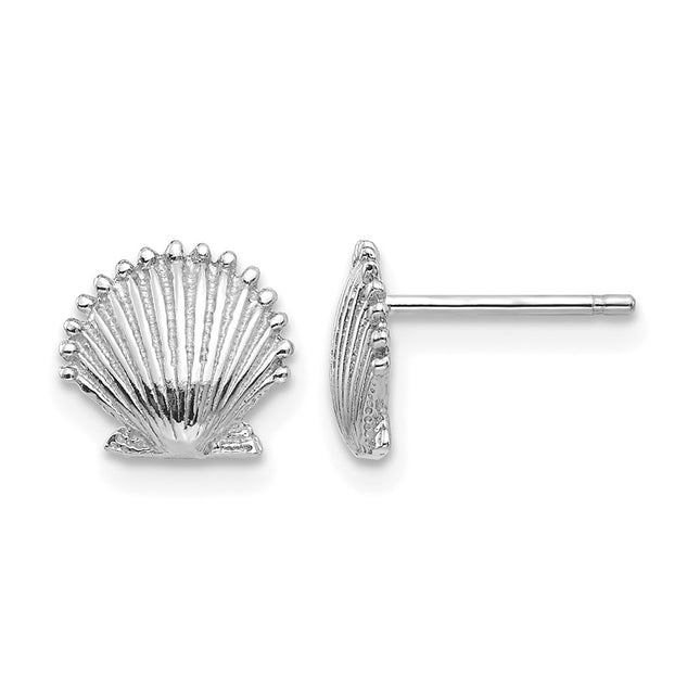 14K White Gold Scallop Shell Post Earrings, 8.02 x 8.51mm
