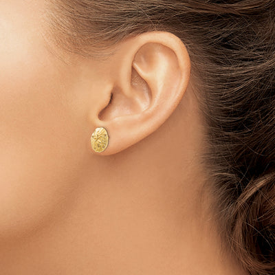14K Sand Dollar Post Earrings, 12 x 12mm