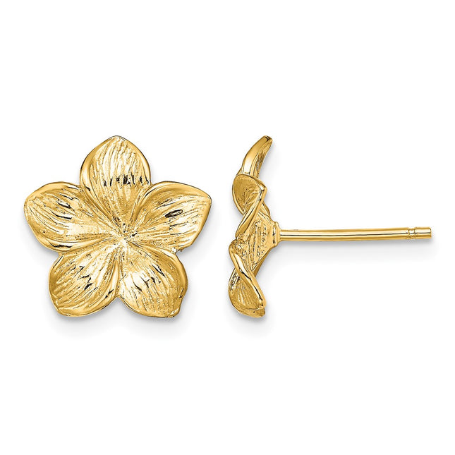 14K Plumeria Flower Post Earrings, 11.5 x 11.5mm