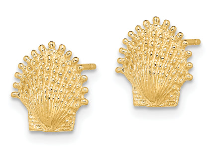 14K Beaded Scallop Shell Post Earrings