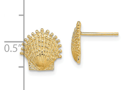 14K Beaded Scallop Shell Post Earrings