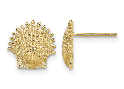 14K Beaded Scallop Shell Post Earrings