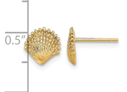 14k Scallop Shell Post Earrings, 7.8 x 7.7mm