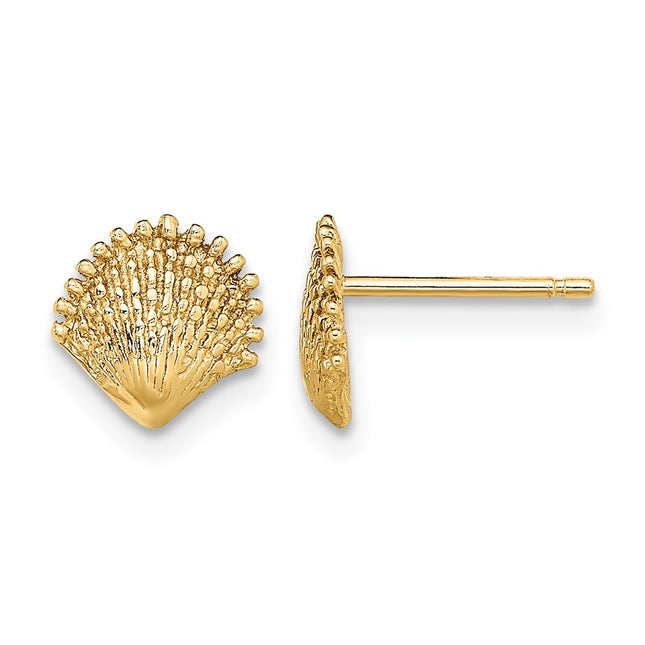 14k Scallop Shell Post Earrings, 7.8 x 7.7mm