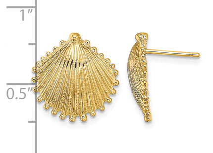 14k Scallop Shell Post Earrings, 14.75 x 14.15mm