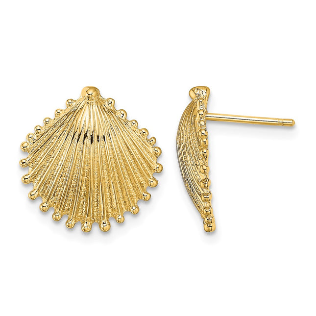 14k Scallop Shell Post Earrings, 14.75 x 14.15mm