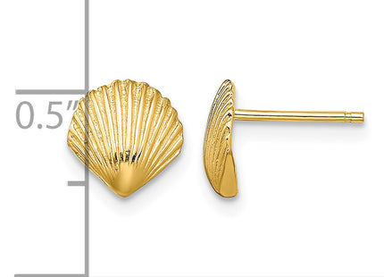 14k Scallop Shell Post Earrings, 8 x 8mm