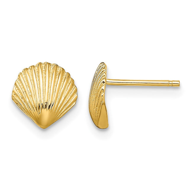 14k Scallop Shell Post Earrings, 8 x 8mm