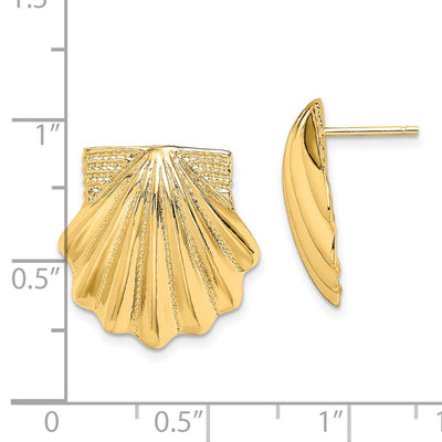 14K Scallop Shell Earrings