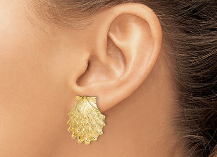 14K Lion's Paw Shell Post Earrings (Style TE810)