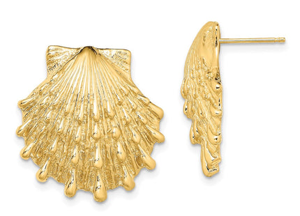 14K Lion's Paw Shell Post Earrings (Style TE810)