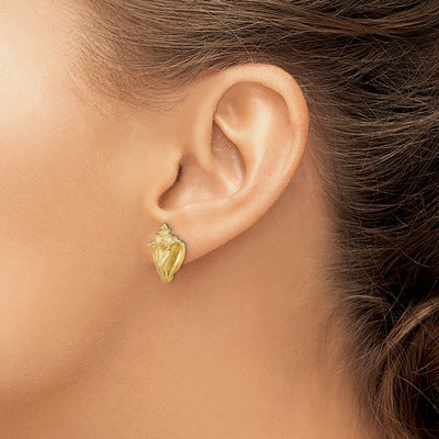 14K 2-D Conch Shell Post Earrings, 15.45 x 10mm